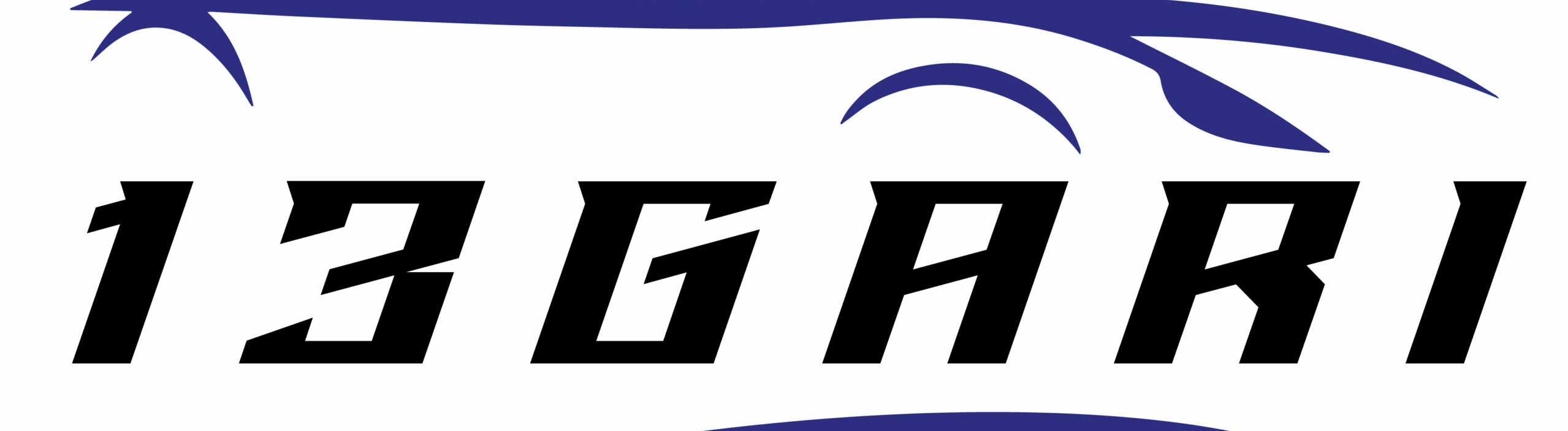 13GARI
